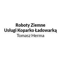 Roboty Ziemne Usługi Koparko Ładowarką Tomasz Herma - Wykopy i roboty fundamentowe