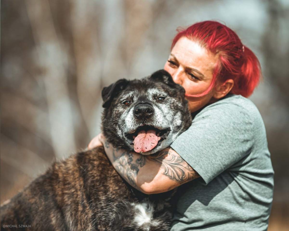 opieka nad zwierzętami