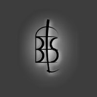 Blacksmith Loft System Maciej Kowal - Bramy i ogrodzenia