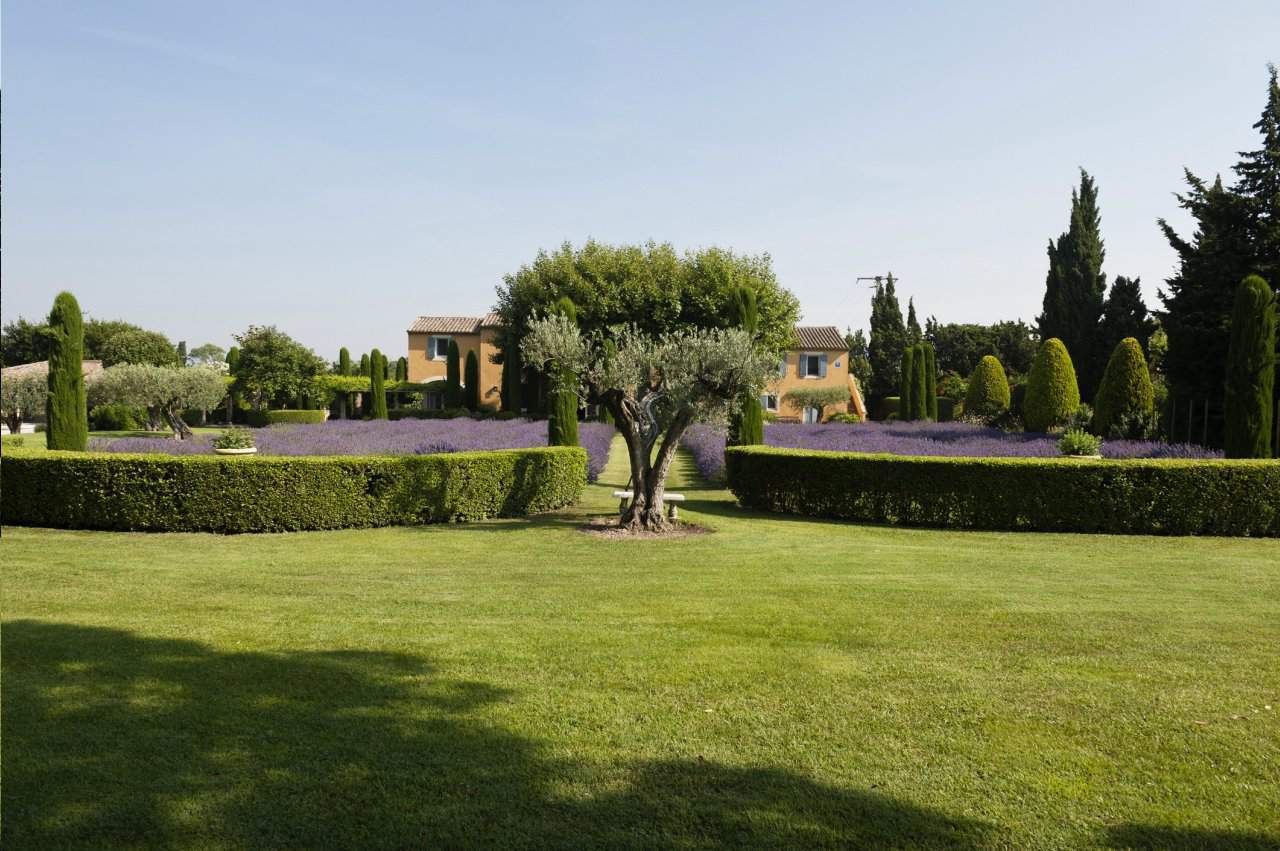 pielęgnacja ogrodów