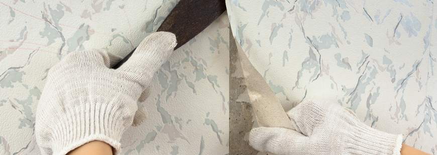 Home Style Ewa Zdanowicz