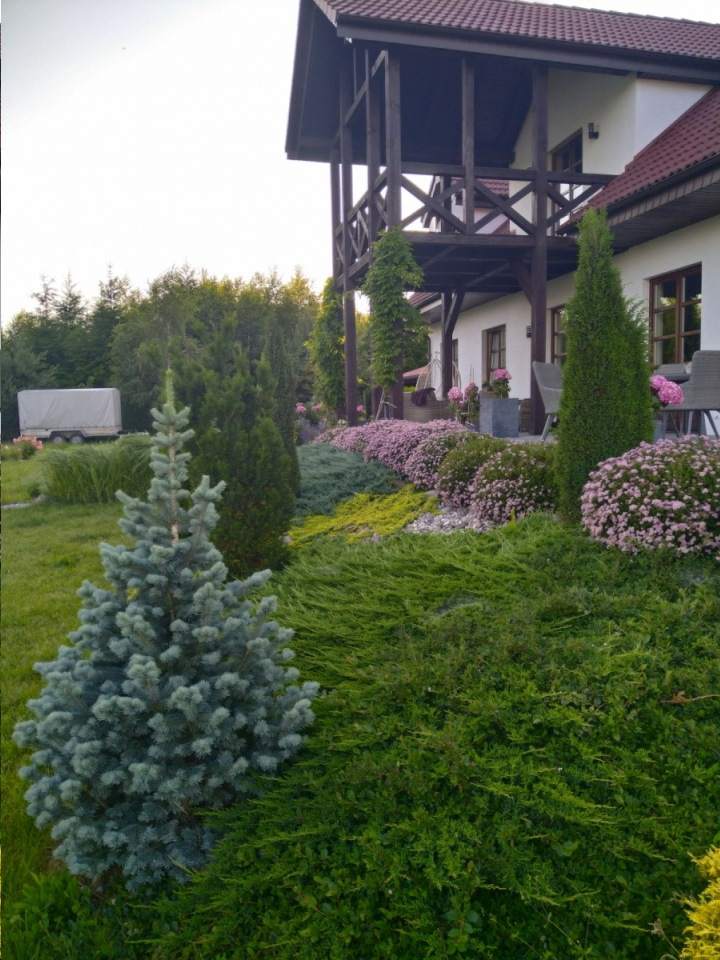 zakładanie ogrodów