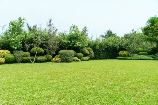 sprzątanie terenów zielonych