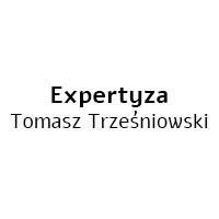Expertyza Tomasz Trześniowski - Sprzedaż części samochodowych