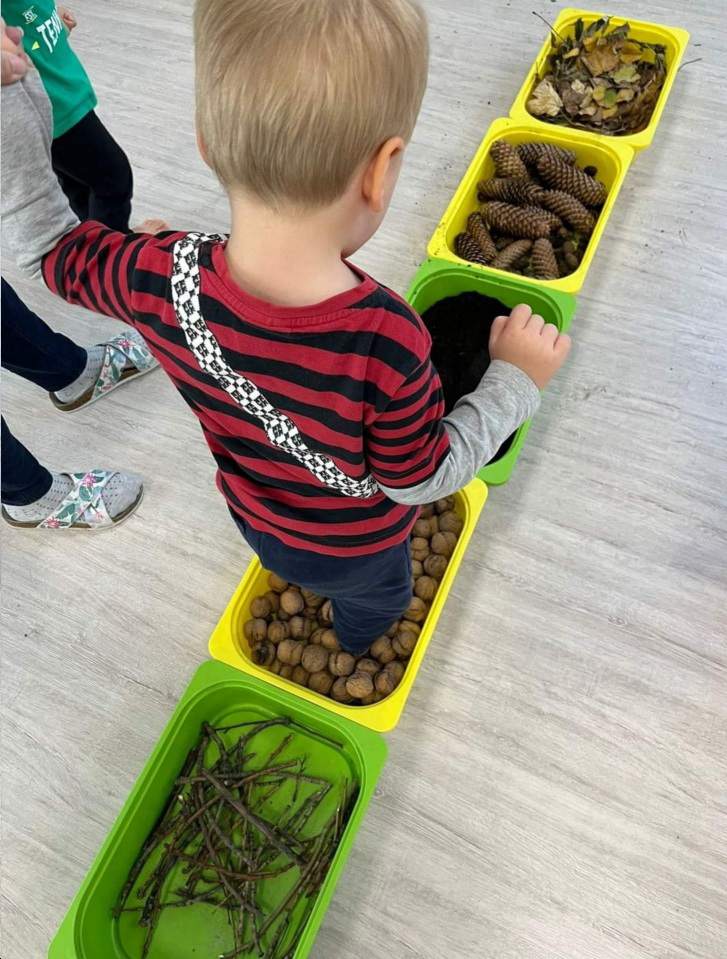 zajęcia sensoryczne