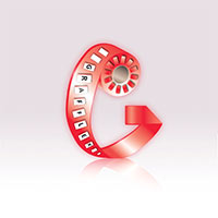 Grafflex Lena Duzik - Usługi dystrybucyjne