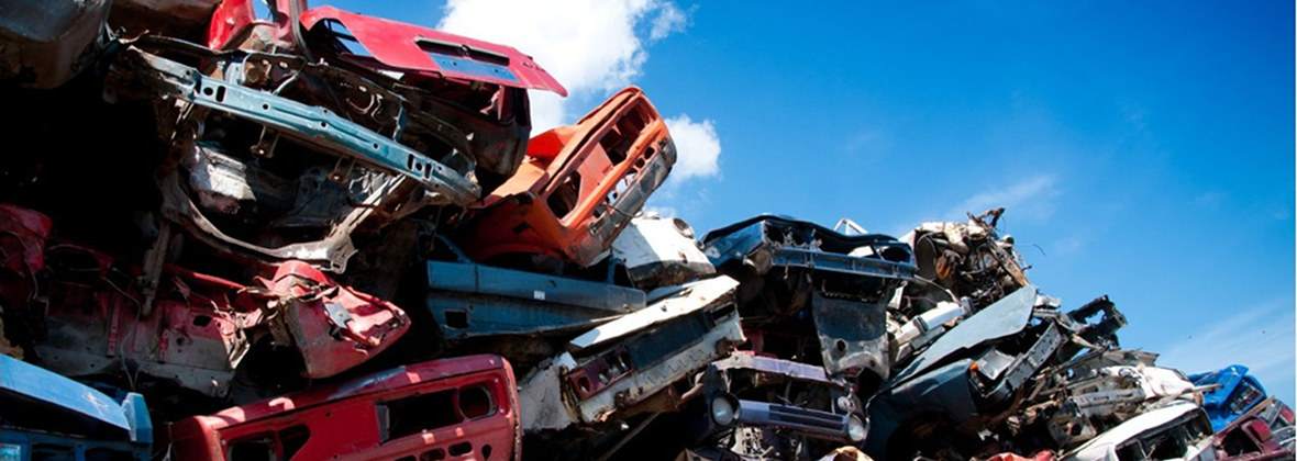 Globus Szczuchniak Agnieszka, Szczygieł Grażyna, Zabłocki Antoni