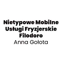 Nietypowe Mobilne Usługi Fryzjerskie Filodoro Anna Gołota - logo