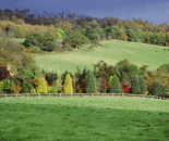 klasyfikacja gruntów rolnych