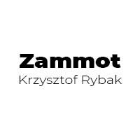 Zammot Krzysztof Rybak - Szyby samochodowe