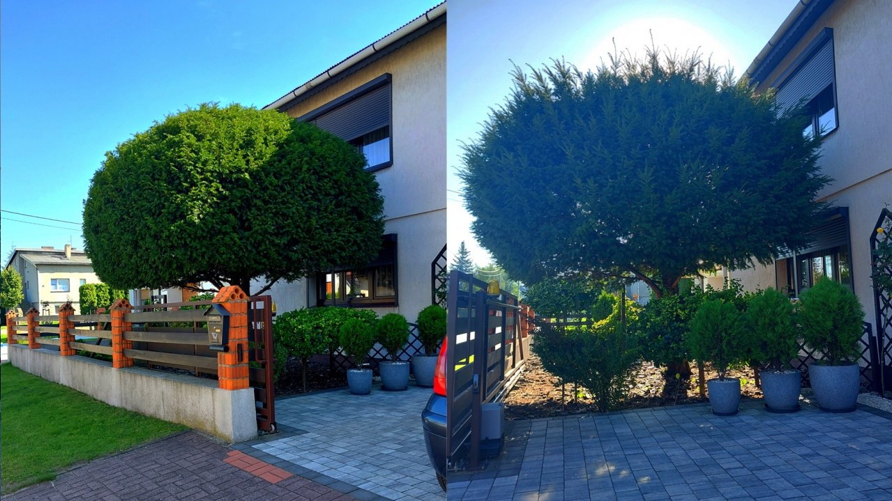 pielęgnacja ogrodów, przycinanie krzaków