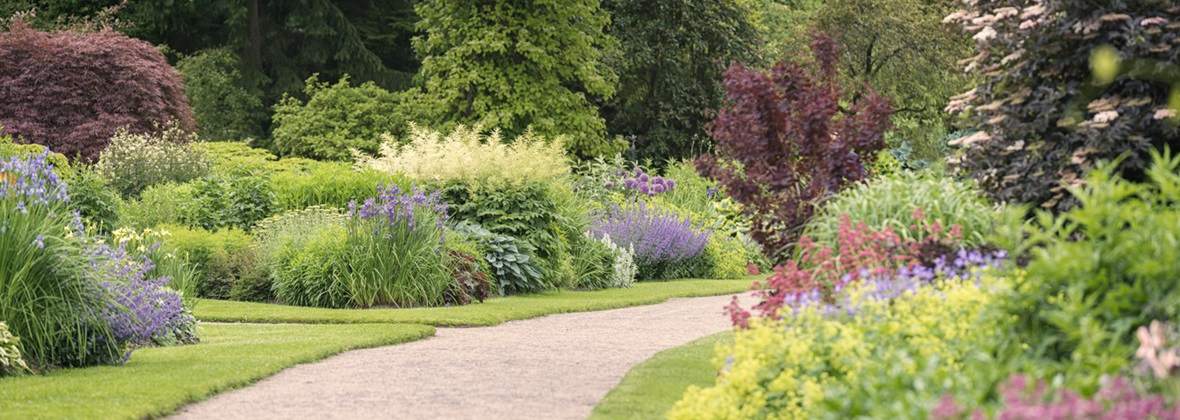 Greenlands Andrzej Kotłowski