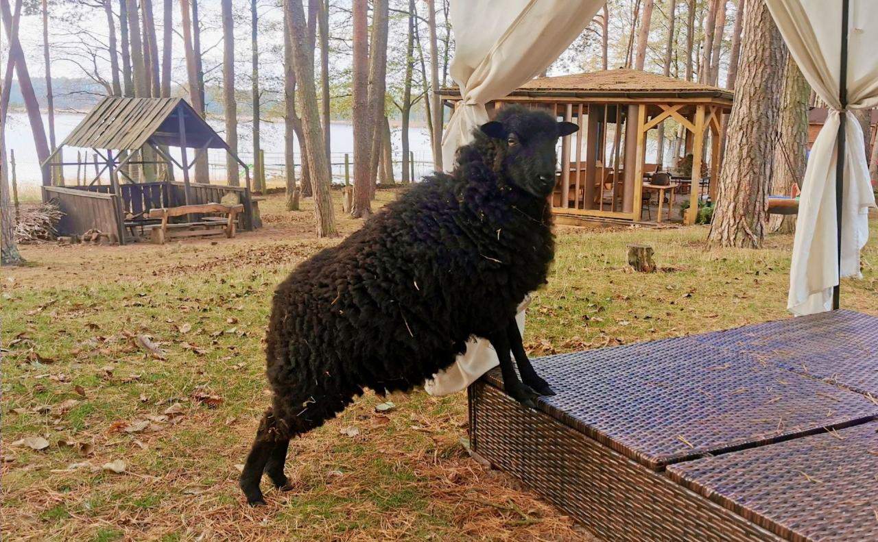 Domki nad Jeziorem Ośrodek Wypoczynkowy Jeleń
