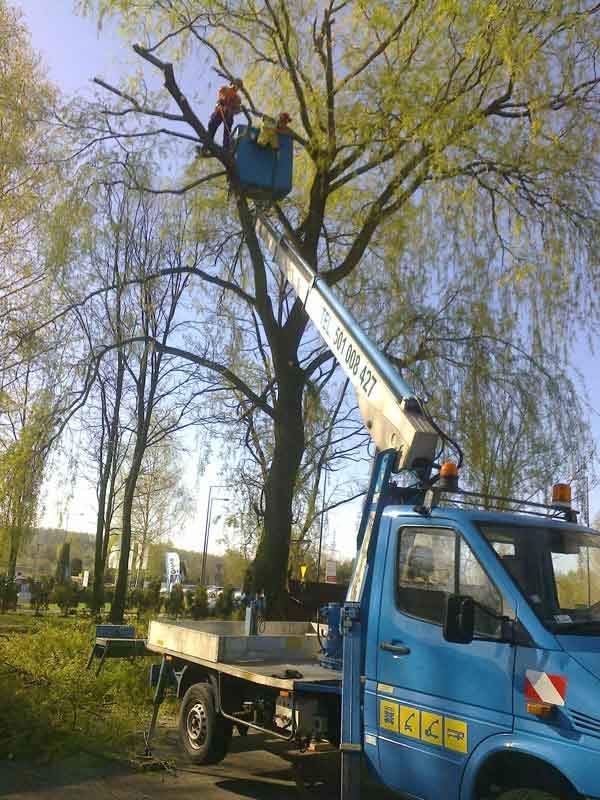 wynajem podnośnika koszowego