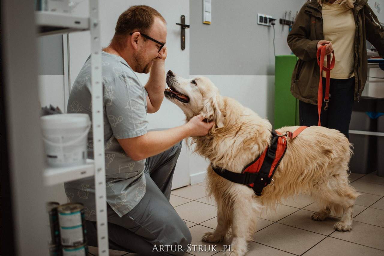 gabinet weterynaryjny, przychodnia weterynaryjna, weterynarz