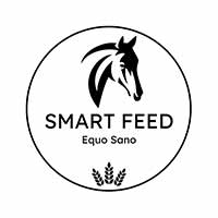 Equo Sano Marcin Olszowski - Jeździectwo