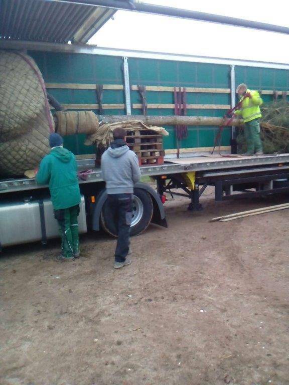 przewóz ładunków ponadgabarytowych