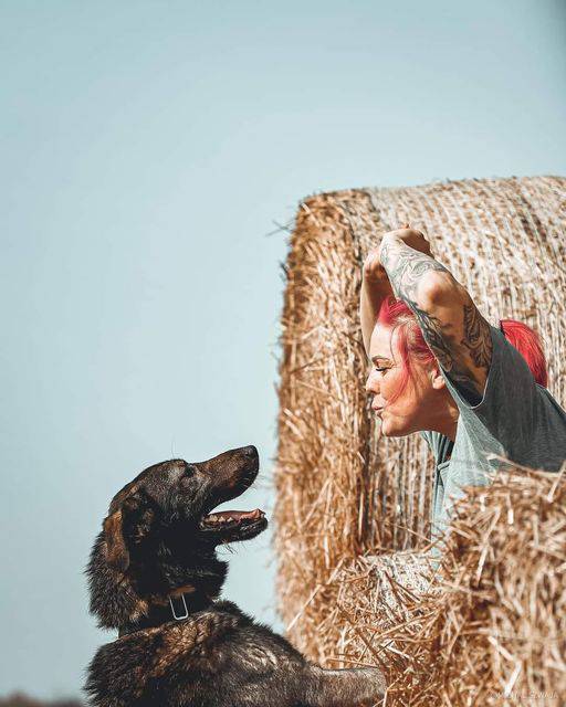 opieka nad psem podczas wyjazdu