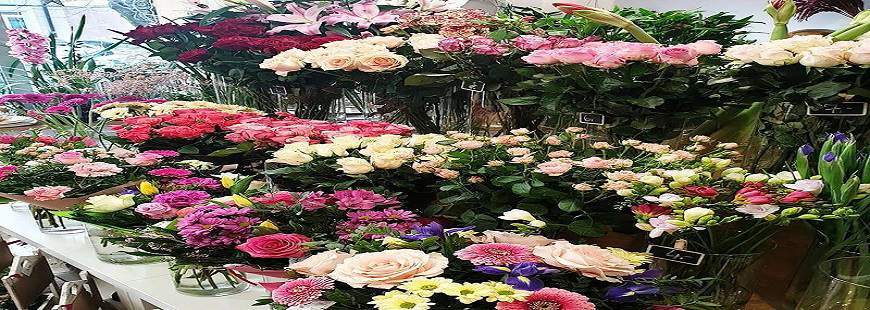 Kwiaciarenka Maria Ruta