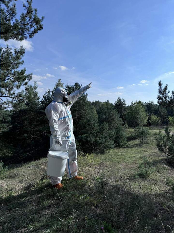 usuwanie gniazd szerszeni