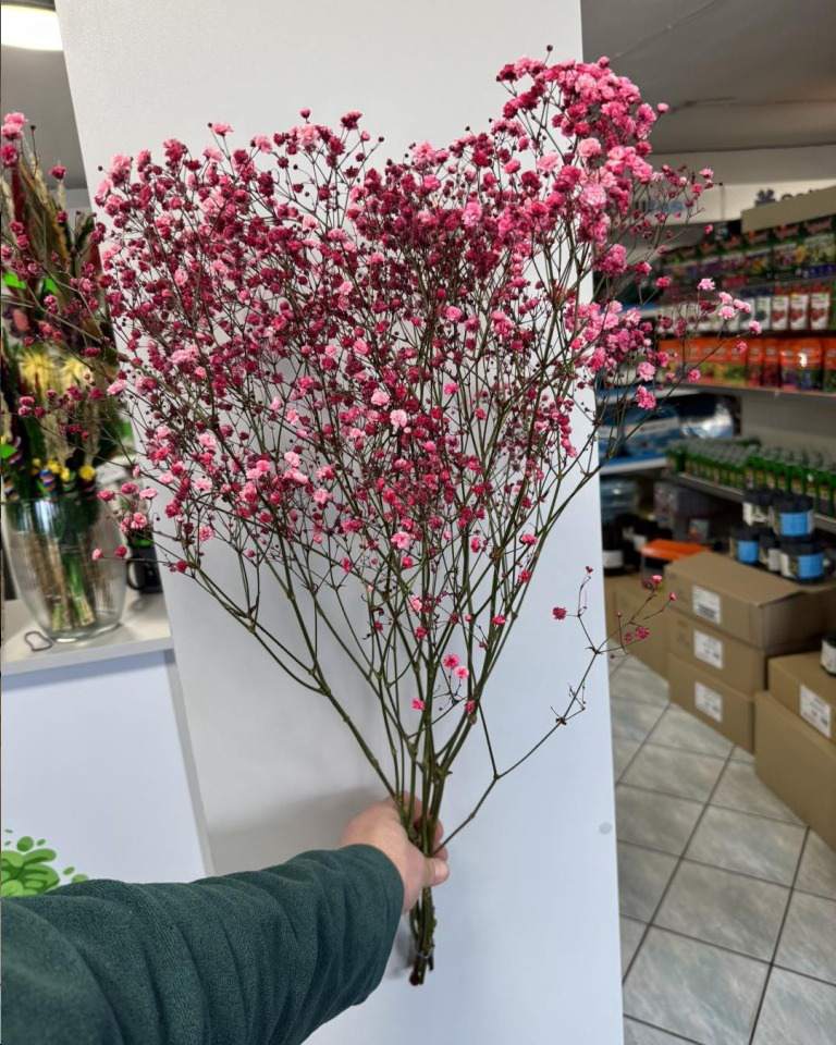 ogrodnicze artykuły