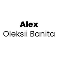Alex Oleksii Banita - Budowa i wykończenia pod klucz