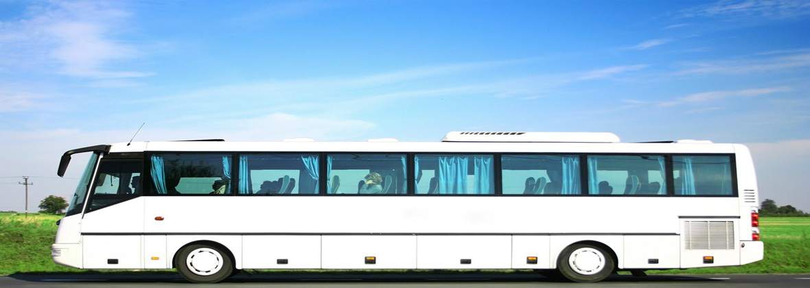 Transport Osobowo-towarowy Andrzej Wernik