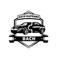 Blacharstwo Pojazdowe Leszek Bach - Blacharstwo i lakiernictwo