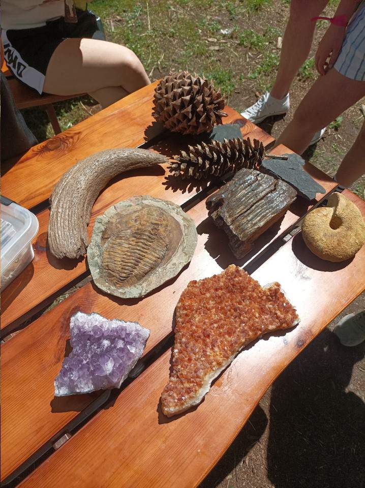 warsztaty paleontologiczne