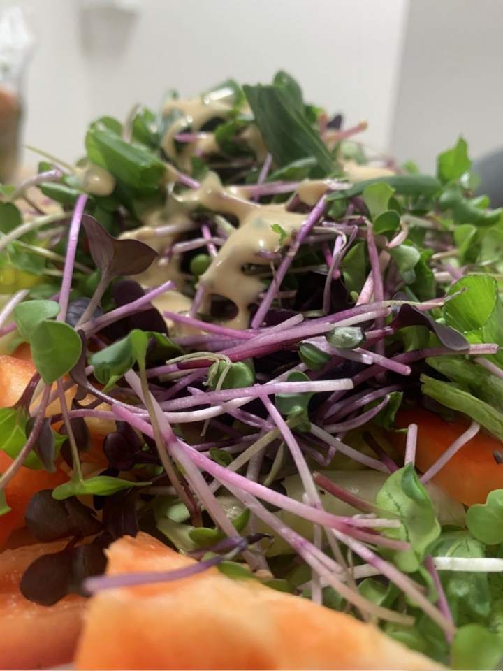 mikroliście fasoli Mung