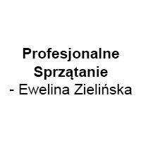 Profesjonalne Sprzątanie - Ewelina Zielińska - Czyszczenie strumieniowo-ścierne