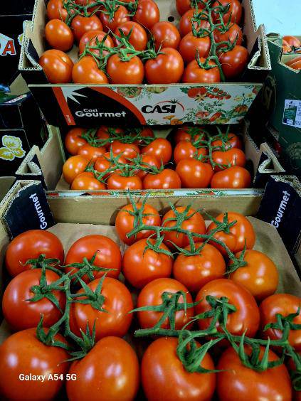 pomidory gałązkowe