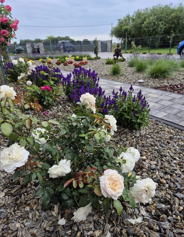 cięcia formujące drzew i krzewów