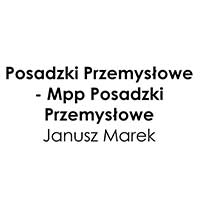 Posadzki Przemysłowe - Mpp Posadzki Przemysłowe Janusz Marek - Elektroakustyka