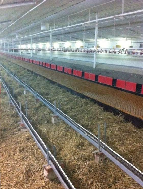 wyposażenie gospodarstw