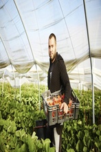 oferta dla rolników