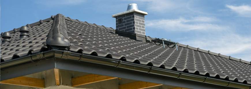 Tauro-Dach Sylwester Byczyński