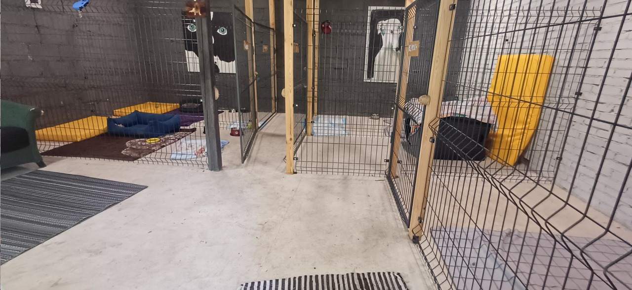 hotele dla zwierząt