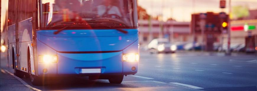 Maja Bus Leszek Dyrcz