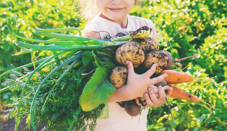 hurtownia spożywcza