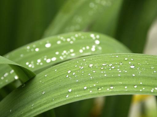 wywóz szamba, wywóz nieczystości płynnych, wywóz ścieków