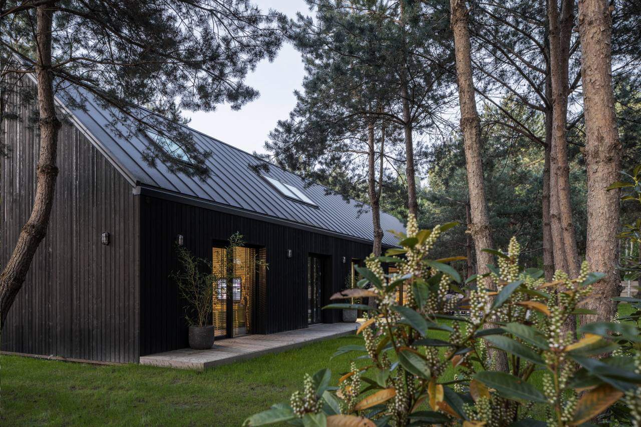 domek z czarnej deski