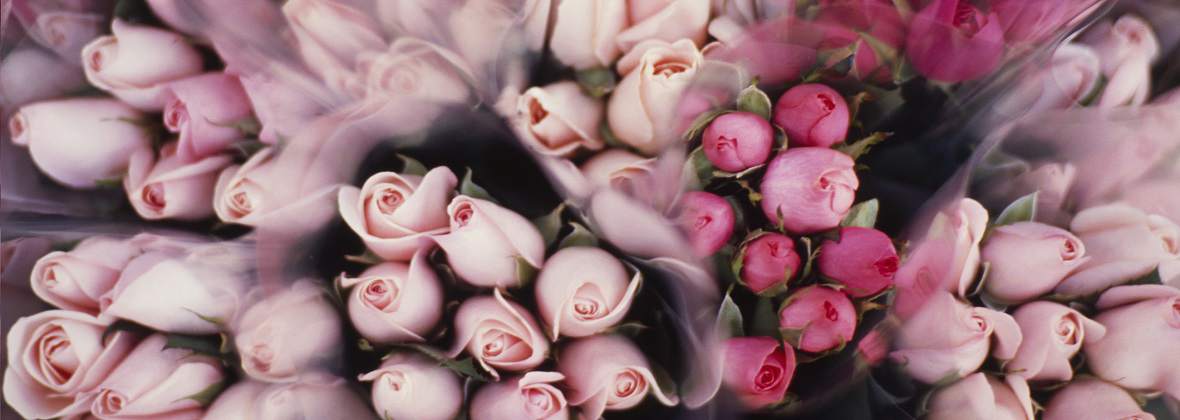 Kwiatowa Fantazja Aneta Berent