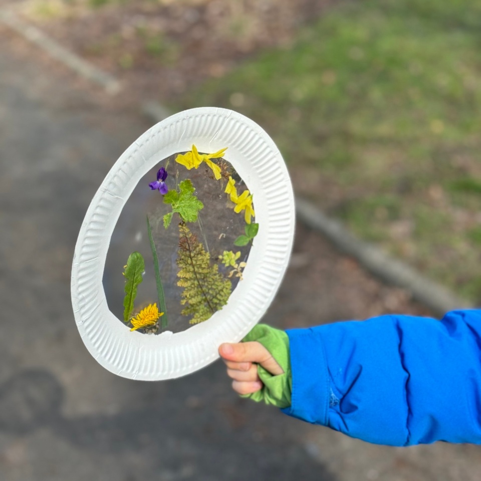 Niepubliczna Szkoła Podstawowa Kropka