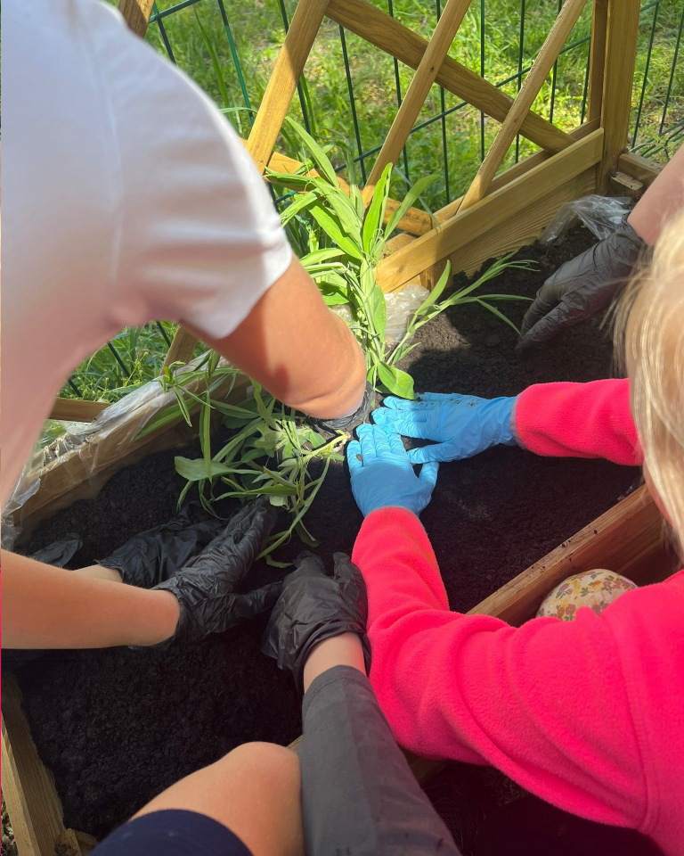 Niepubliczna Szkoła Podstawowa Kropka