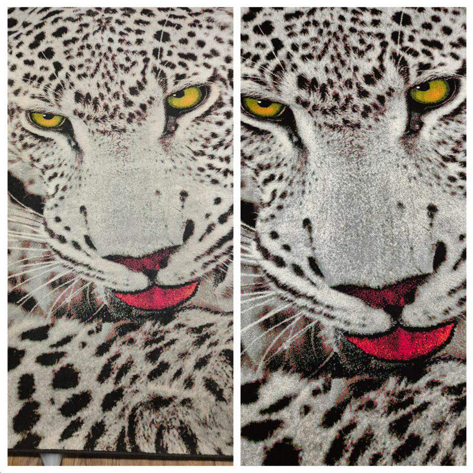 Pablito Paweł Chwiećko