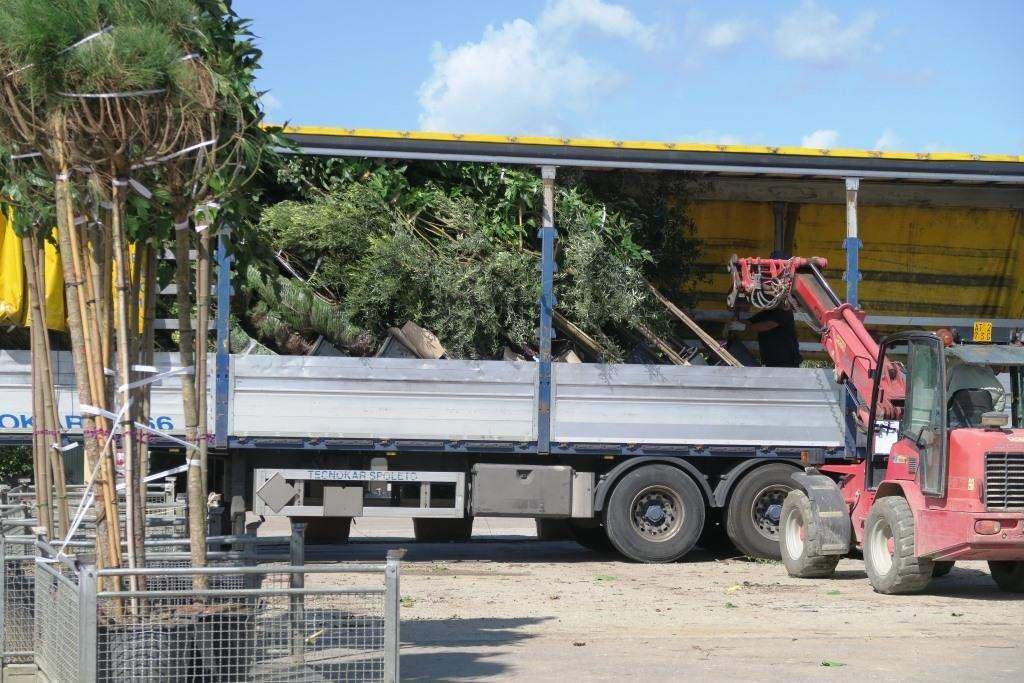 przewóz ładunkowych chłodniczych