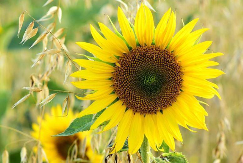 Sprzedaż artykułów