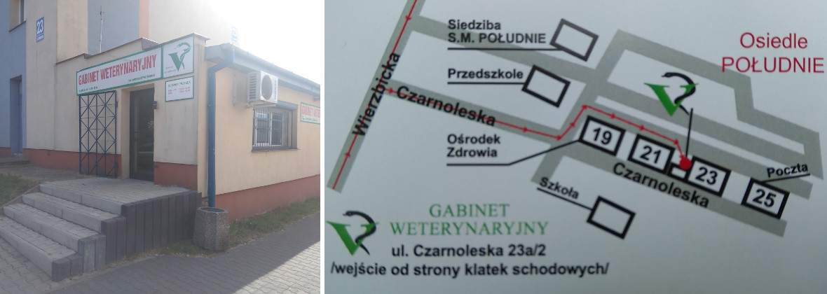 Kosman Gabinet Weterynaryjny Piotr Kosman