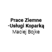 Prace Ziemne-Usługi Koparką Maciej Bojke - Transport samochodowy